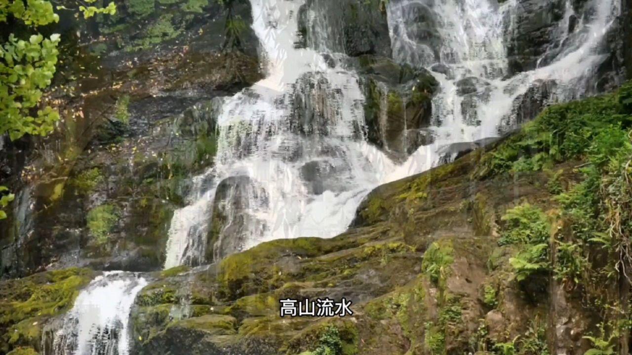 茂密丛林逃生
